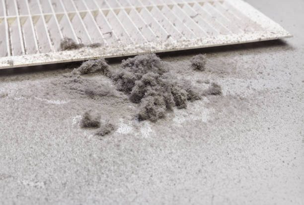 Best Ductwork Cleaning Services  in Deshler, OH